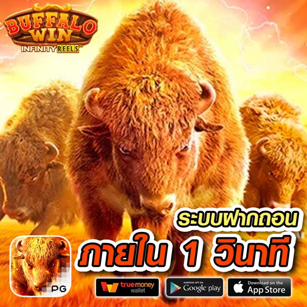 คาสิโน GMZ999: เกมน่าสนใจ โบนัสจัดหนัก แจ็กพอตใหญ่
